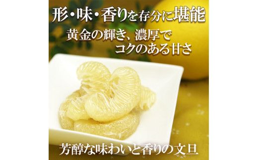【先行予約】温室土佐文旦 2L～4L 約10kg（16～20個入り）〈2026年12月上旬～12月下旬頃〉/ 高糖度 温室 ブンタン ぶんたん 土佐文旦 ハウス文旦 約10キロ フルーツ 果物 くだもの 柑橘 旬 高知県 土佐市【白木果樹園】 [BQAI041]