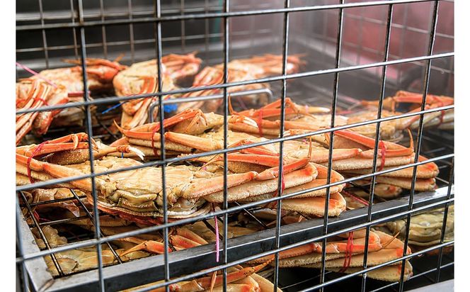 【山陰日本海産】釜茹で松葉ガニ（冷凍） 2杯 各500〜600g お試し・少量贅沢｜北畿水産 カニ 蟹 松葉蟹 松葉ガニ 京丹後 ふるさと納税 蟹 カニ 茹で蟹　HK00276
