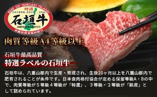 【訳あり】 石垣牛 焼肉用　(不揃い)　500g 【訳アリ 沖縄県 石垣島 石垣牛 国産 黒毛和牛 牛肉 牛 和牛 焼肉 BBQ 】AB-26