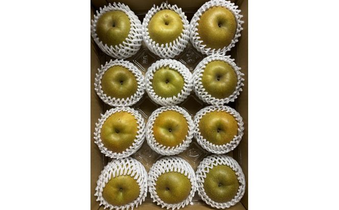 1121．【2026年度発送先行予約】数量限定　新甘泉　5kg 313726_CS001