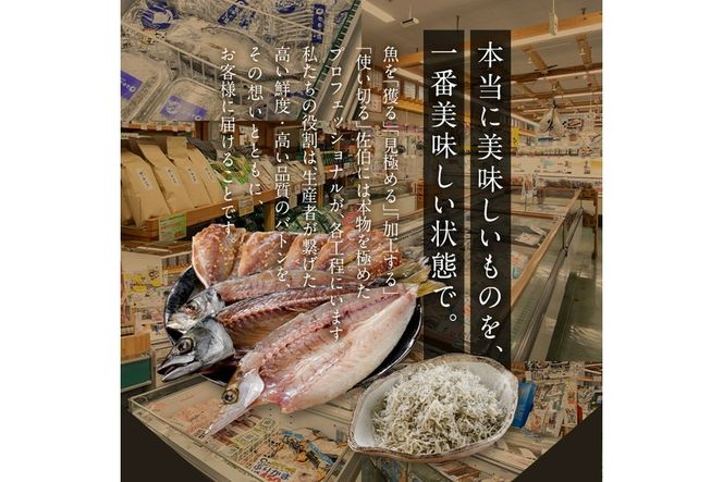 老舗海産物問屋 選りすぐり干物 セット 赤 (9種)あじ 鯵 たい 鯛 みりん ちりめん さば 鯖 海鮮 魚 いわし セット 詰合せ 【BQ69】【佐伯海産(株)】