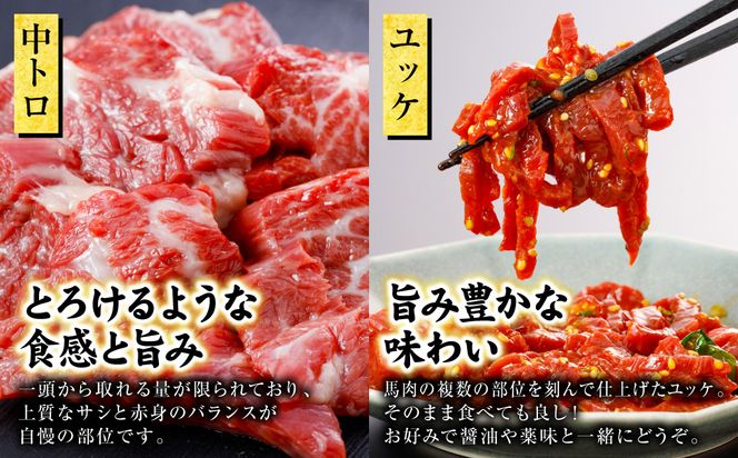 国産 馬刺し 4種 計200g （ 上赤身 、 ロース 、 中トロ 、 ユッケ 各50g ） 馬肉 馬 肉刺し 生食 刺身 冷凍 郷土料理 熊本県 八代市