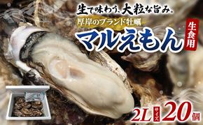 牡蠣 厚岸のブランド牡蠣 マルえもん 2Lサイズ 20個 生食用 魚貝類 海鮮 海のミルク 国産 生食用殻付き牡蠣 まろやか クリーミー 食べやすい品種 海の香り 牡蠣の酒蒸し 焼き牡蠣 マルえもん