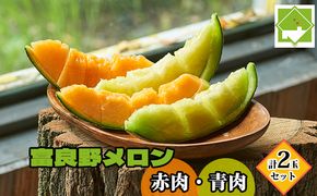 【2026年夏発送】北海道 富良野メロン 赤肉・青肉 計2玉セット 計2.8kg以上 メロン フルーツ 果物