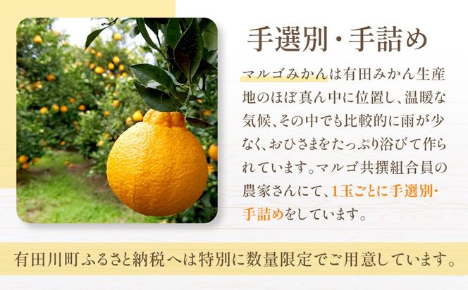 JA和歌山 マルゴ共撰 デコポン 24玉入り Lサイズ 5kg箱   CM02