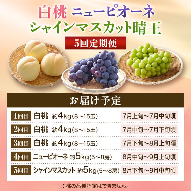 【2026年先行受付】 白桃 ニューピオーネ シャインマスカット 晴王 5回 定期便 桃 もも モモ ぶどう 葡萄 ブドウ 岡山県産　御中元 ギフト 御礼 プレゼント 御礼 御祝 御供 果物 くだもの フルーツ