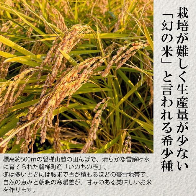 【令和8年産・新米】幻の米 いのちの壱 特別栽培米 5kg【減農薬・減化学肥料】