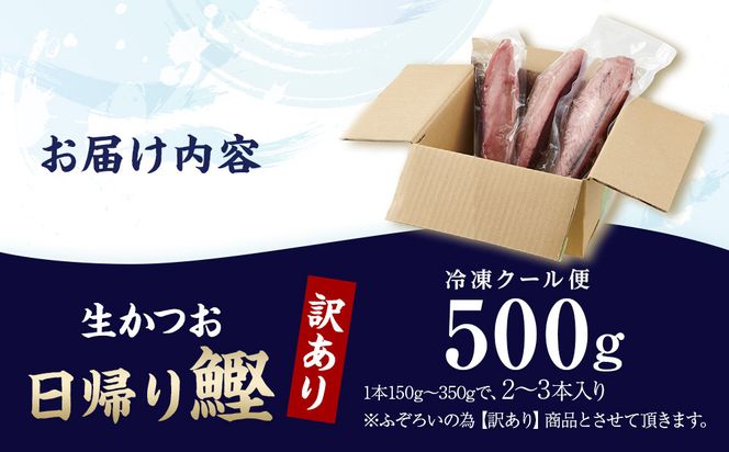 かつお一本釣り漁師が直送！ 日帰り生かつお 訳あり 500g入 304018_DT04