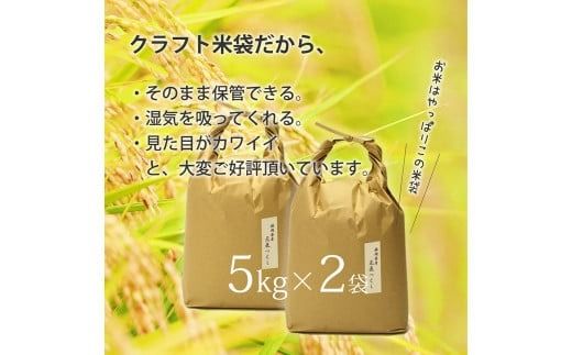 【令和7年産】福岡県産 【特A】評価のお米「元気つくし」5kg×2袋（10kg）玄米 お米 米
