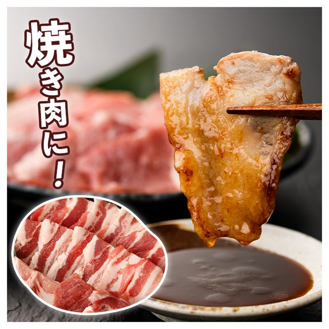 鹿児島県産 黒豚 焼肉セット(合計900g・各300g×3種) 国産 九州産 鹿児島産 豚肉 黒豚 バラ ロース 肩ロース 焼き肉 BBQ 食べ比べ 詰め合わせ 小分け 【株式会社マキオ】akn068-02
