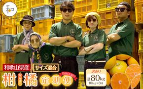 ［定期便］森本農園の手選別 訳あり柑橘定期便 約10kg サイズ混合 和歌山県産 ［北海道・沖縄・離島配送不可］［2026年10月～2027年5月まで全8回お届け］ ［RN171］ 303446_DJ90171