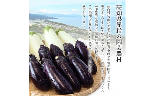 【先行予約】食べ比べ！白と黒のナスセット 黒ナス8本 白ナス4本 なす 茄子 黒なす 白なす 焼き茄子 煮浸し 漬物 浅漬け 味噌汁 おかず 野菜 常温 配送 国産