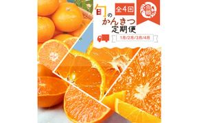 【4か月定期便】旬の柑橘定期便 / みかん ミカン 柑橘 オレンジ 果物 くだもの フルーツ フルーツ定期便 和歌山【tkb416】