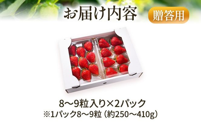 あまおう 8～9粒入り×2パック （先行受付／2025年1月以降順次発送予定）いちご 大粒 不揃い DX デラックス エクセレント 苺 イチゴ 福岡高級 フルーツ 土産 福岡県