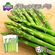 【2027年春発送】富良野産 アスパラ 約1kg  贅沢な太め (L～3Lサイズ混合) 中山農園 野菜