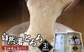いも 自然薯 山芋 とろろ 食べ比べ 詰合せ セット 2種 各3袋 朝倉市産 自然薯王国 野菜 根菜 セット 