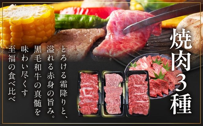 mrz0465 黒毛和牛 お肉の贈り物 焼肉 3種 360g 化粧箱入り【氷温熟成×極味付け 食べ比べ 牛肉 ギフト プレゼント 贈り物】