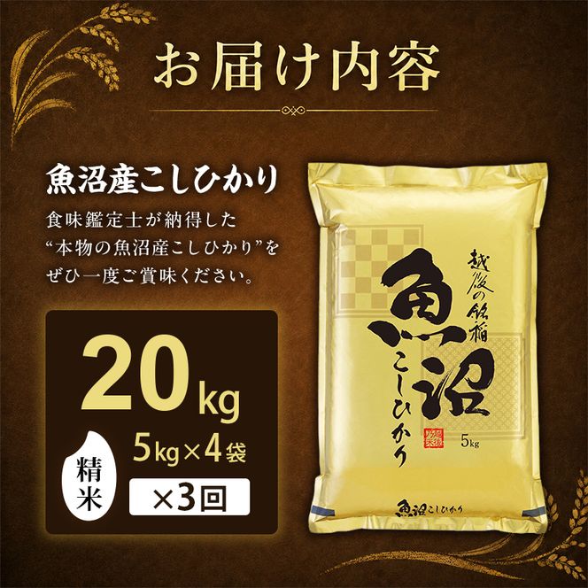 【令和8年産 先行予約】「3カ月定期便」食味鑑定士厳選！魚沼産こしひかり 20kg（5kg×4）×3回 米 コシヒカリ 定期 新潟県 十日町市