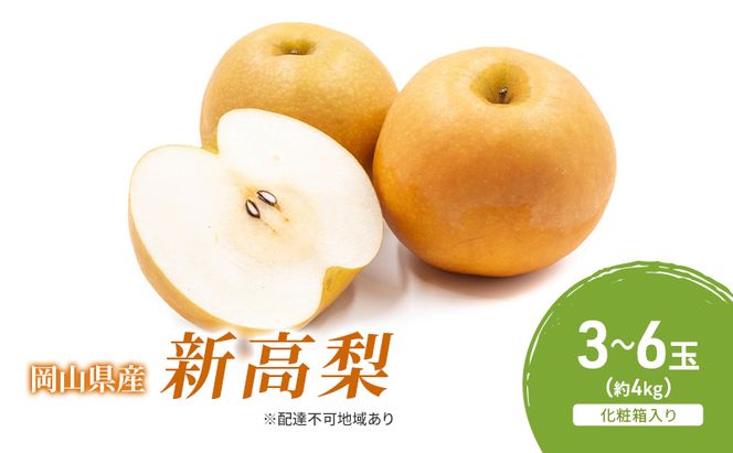 梨 2026年 先行予約 新高梨 3-6玉（約4kg） 化粧箱入り なし ナシ 岡山県産 国産 フルーツ 果物 ギフト