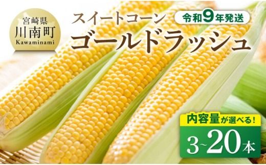 ※内容量が選べる※【令和9年産】スイートコーン「ゴールドラッシュ」 【 新鮮 農家直送 トウモロコシ 産地直送 季節限定 期間限定 宮崎県産 九州産 】 [B09101 B09102 B09103 B09104 B09105 B09106 B09107 B09108 B09109]