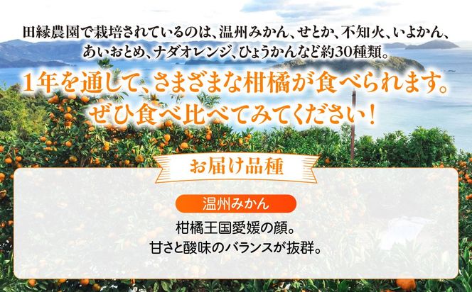 【6ヶ月定期便】田縁農園 みかんジュースセット 全6回 IKTA053