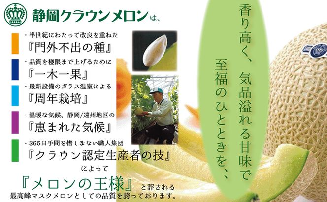 【3ヶ月定期便】クラウンメロン（白等級）特大玉　1玉入 