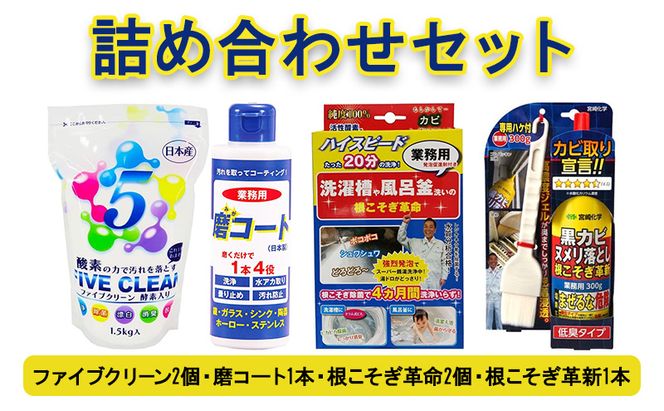 ファイブクリーン2本・磨コート1本・根こそぎ革命2個・根こそぎ革新1本