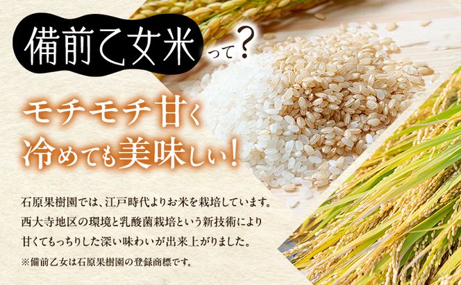 米 令和7年産 石原果樹園の備前乙女米 玄米 5kg×1袋 ※11月上旬～順次発送予定 お米 ライス  乳酸菌栽培 岡山県 おにぎり お弁当
