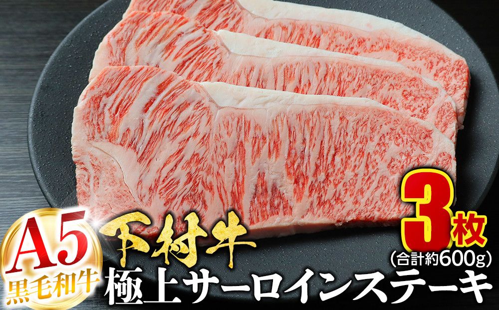 [定番]大府特産A5黒毛和牛下村牛極上サーロインステーキ 3枚入り約600g 232238_N042-PR