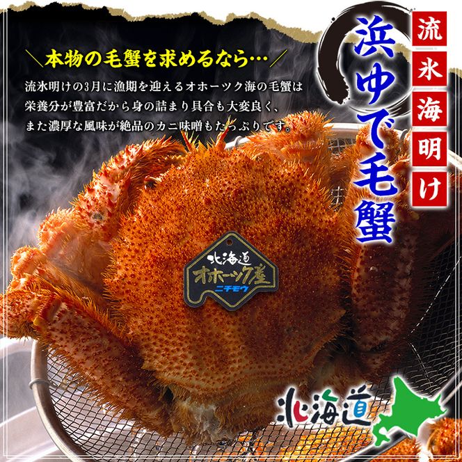 20-269 【甲羅組】北海道産　ボイル毛蟹