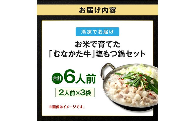 お米で育てた「むなかた牛」 塩もつ鍋セット（2人前×3セット）【道の駅むなかた】_AS2100-00 むなかた牛 もつ鍋 塩もつ鍋 福岡県宗像市 宗像市 福岡 宗像