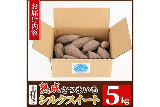 a845 《種類・内容量が選べる》鹿児島県産さつまいも土付き5～10kg(シルクスイート・紅はるか)【コウエイ環境】姶良市 鹿児島県産 さつまいも サツマイモ 熟成芋 さつま芋 シルクスイート 紅はるか 5kg 10kg 生芋