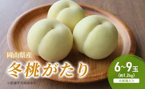 桃 2026年 先行予約 冬桃がたり 6～9玉（約1.2kg）化粧箱入り もも モモ 岡山県産 国産 フルーツ 果物 セット ギフト 