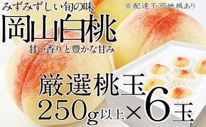 桃 2026年 先行予約 岡山の白桃 250g以上×6玉 白桃 旬 みずみずしい 晴れの国 おかやま 岡山県産 フルーツ王国 果物王国 デザート 岡山の桃 旬の桃 
