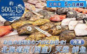 【定期便 5ケ月連続】 お魚の目利きのプロにお任せ！北海道産（国産） 天然 鮮魚 約500g～1kg（釧路の鮮魚セット） 鮮魚 刺身 セット 産地直送 定期便 冷凍 冷凍便 魚介類 海鮮 絶品 人気 ヒロセ 北海道 釧路町 釧路超 特産品　121-1262-142-015