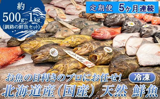 【定期便 5ケ月連続】 お魚の目利きのプロにお任せ！北海道産（国産） 天然 鮮魚 約500g～1kg（釧路の鮮魚セット） 鮮魚 刺身 セット 産地直送 定期便 冷凍 冷凍便 魚介類 海鮮 絶品 人気 ヒロセ 北海道 釧路町 釧路超 特産品　121-1262-142-015