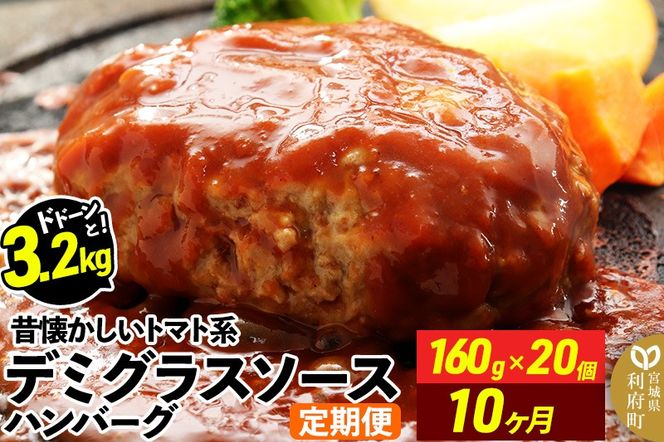 《定期便10ヶ月》ドドンと3.2kg！昔懐かしいトマト系デミグラスソースハンバーグ (160g×20個)×10回 肉 洋食 簡単 大容量 湯煎 湯せん 個包装|06_thm-040610