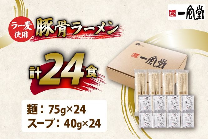 ラーメン 一風堂 とんこつラーメン 白丸 ラー麦麺 スープ 24食 セット [地域商社ふるさぽ 福岡県 筑紫野市 21761443] 博多 福岡 らーめん ラー麦 とんこつ 豚骨 博多ラーメン 豚骨ラーメン 白丸ラーメン