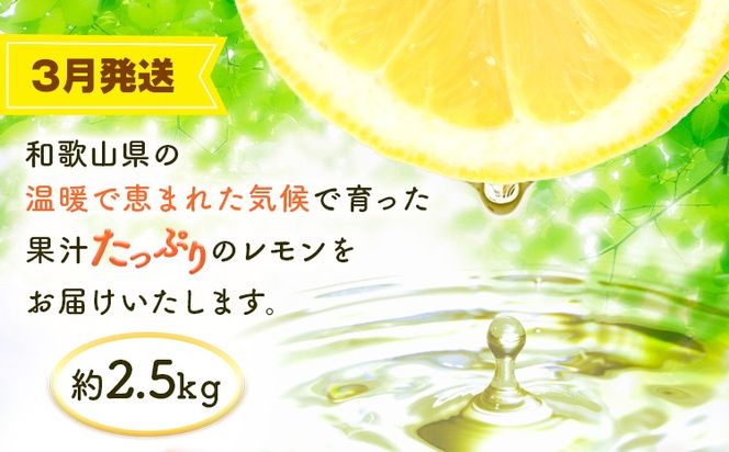 【定期】紀州和歌山産 旬のフルーツセット(あんぽ柿 レモン 桃) 株式会社魚鶴商店《1月中旬-7月末頃出荷》和歌山県 日高川町 柿 あんぽ柿 レモン 桃 もも フルーツ 定期 定期便 フルーツ定期便 果物---wshg_uot109tei_26_45000_137y3---