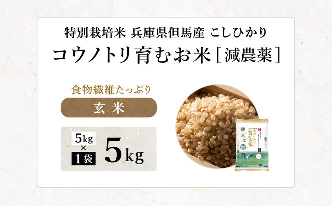 令和7年産 減農薬 玄米 特別栽培米 5kg コウノトリ育むお米 但馬産 こしひかり 兵庫県産 (5kg×1袋) 減農薬 お米 5キロ 玄米 コウノトリ米 コシヒカリ コメ こめ ご飯 ライス 減農薬米