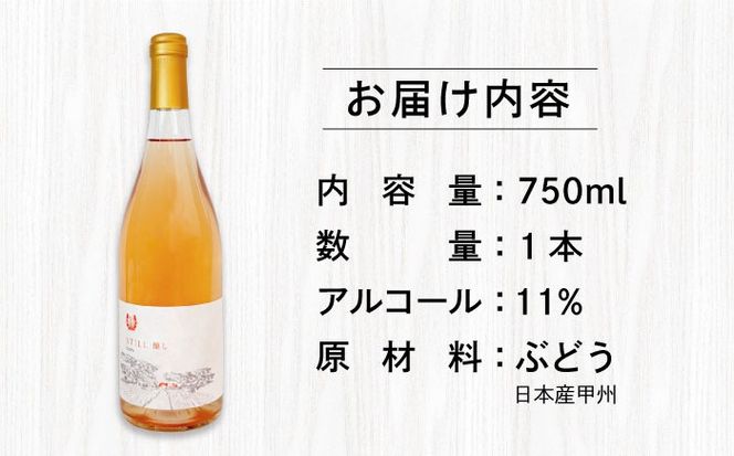 【年内発送】【糸島マスエワイナリ】STILL 醸し 1本 糸島市 / いとしのいとしま ワイン お酒[AEP005] 白ワイン 国産 ワイン 白 ぶどう 甲州 魚介 糸島 ワイナリー