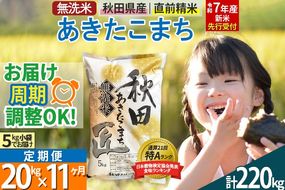 【無洗米】＜令和7年産 新米予約＞《定期便11ヶ月》秋田県産 あきたこまち 20kg (5kg×4袋) ×11回 20キロ お米【お届け周期調整 隔月お届けも可】 新米|02_snk-030811s