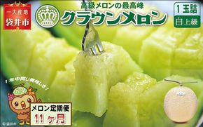 【11ヶ月定期便】クラウンメロン（白上級）1玉入 メロン デザート グルメ 果物 フルーツ 季節の果物 スイーツ 袋井市 静岡県