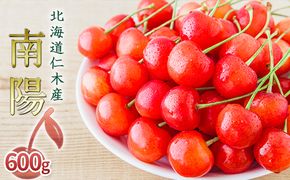 先行受付 北海道 仁木町産 さくらんぼ 南陽 600g（300g×2パック）初夏 夏 味覚 デザート おやつ  サクランボ チェリー フルーツ 果物 果物類  仁木町 仁木 [JA新おたる]