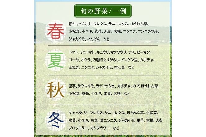 a967 姶良産 有機野菜の詰合せセット(10種前後)【今村農園】姶良市 国産 鹿児島県 野菜 やさい 旬 有機栽培 詰め合わせ 春 夏 秋 冬 季節