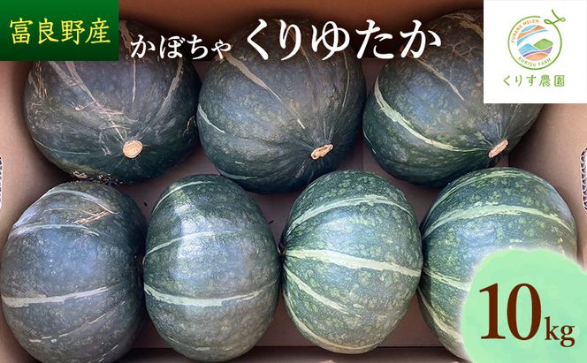 【2026年10月より順次発送】北海道富良野産かぼちゃ「くりゆたか」10kg