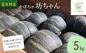 【2026年10月より順次発送】北海道富良野産かぼちゃ「坊ちゃん」5kg　※手のひらサイズが好評です！