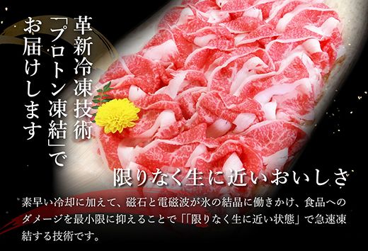 【げんさん】近江牛A5ランク切落し【500g】【訳あり】【DG12W】