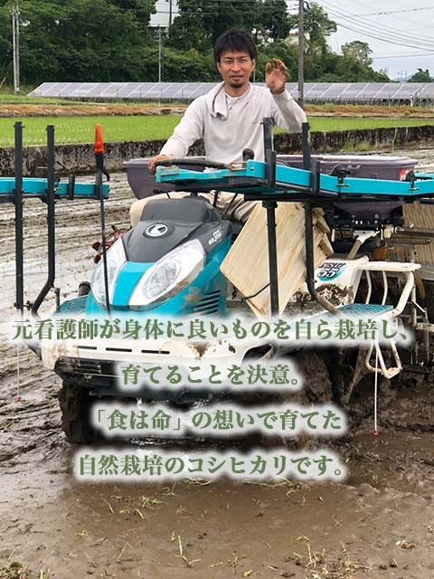 【射水の美味しいお米】【自然栽培農法】自然栽培農家 marufarm 自然栽培米「コシヒカリ」20kg ※2026年10月～発送