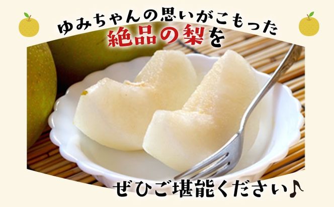 『ゆみちゃん農園』甘太梨 玉東梨 約5kg 7玉-16玉前後 《2026年8月下旬-10月上旬頃出荷》熊本県玉名郡玉東町 梨 なし 果物 フルーツ 旬の梨---sg_cyumikanta_l810_r8_15000_5kg---